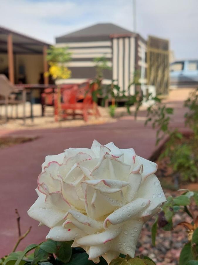 Wadi Rum Oryx Hostel & Tours Zewnętrze zdjęcie