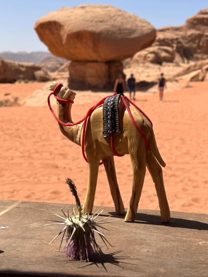 Wadi Rum Oryx Hostel & Tours Zewnętrze zdjęcie